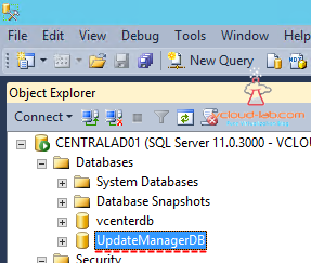 Update Manager sql Database