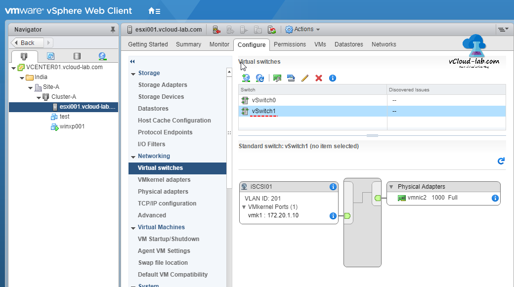 VMware vSPHERE web client vcenter esxi vswitch, virtual switches, standard switch, iSCSI, Physical adapters diagram