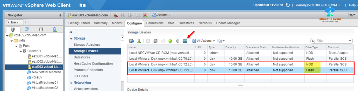 VMware vSphere web client, configure storage devices local disk HDD and SSD flash disk type parallel scsi.png